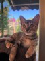 Ronja (2)5